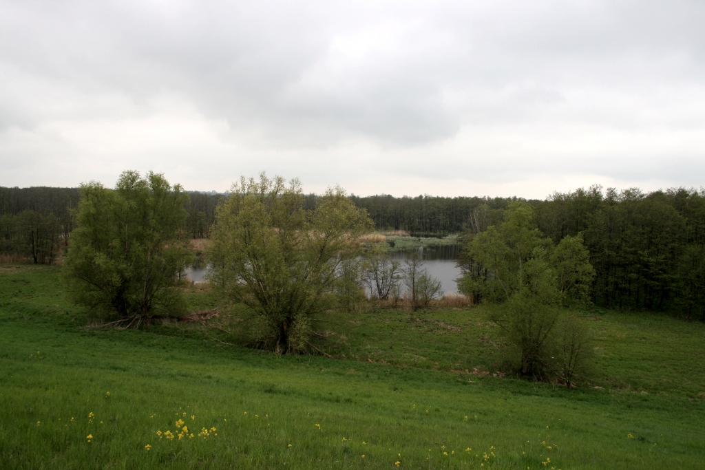 VWG vogelreis Oost Duitsland mei 2010 312